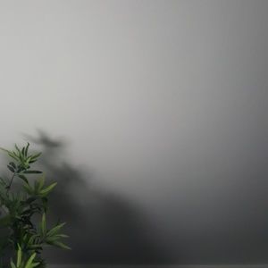 Meet your Posher, Paul